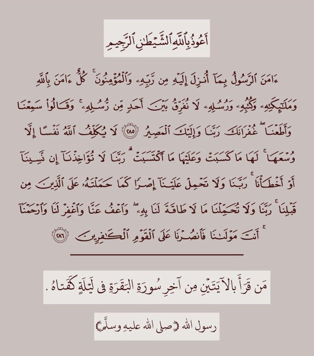 صورة