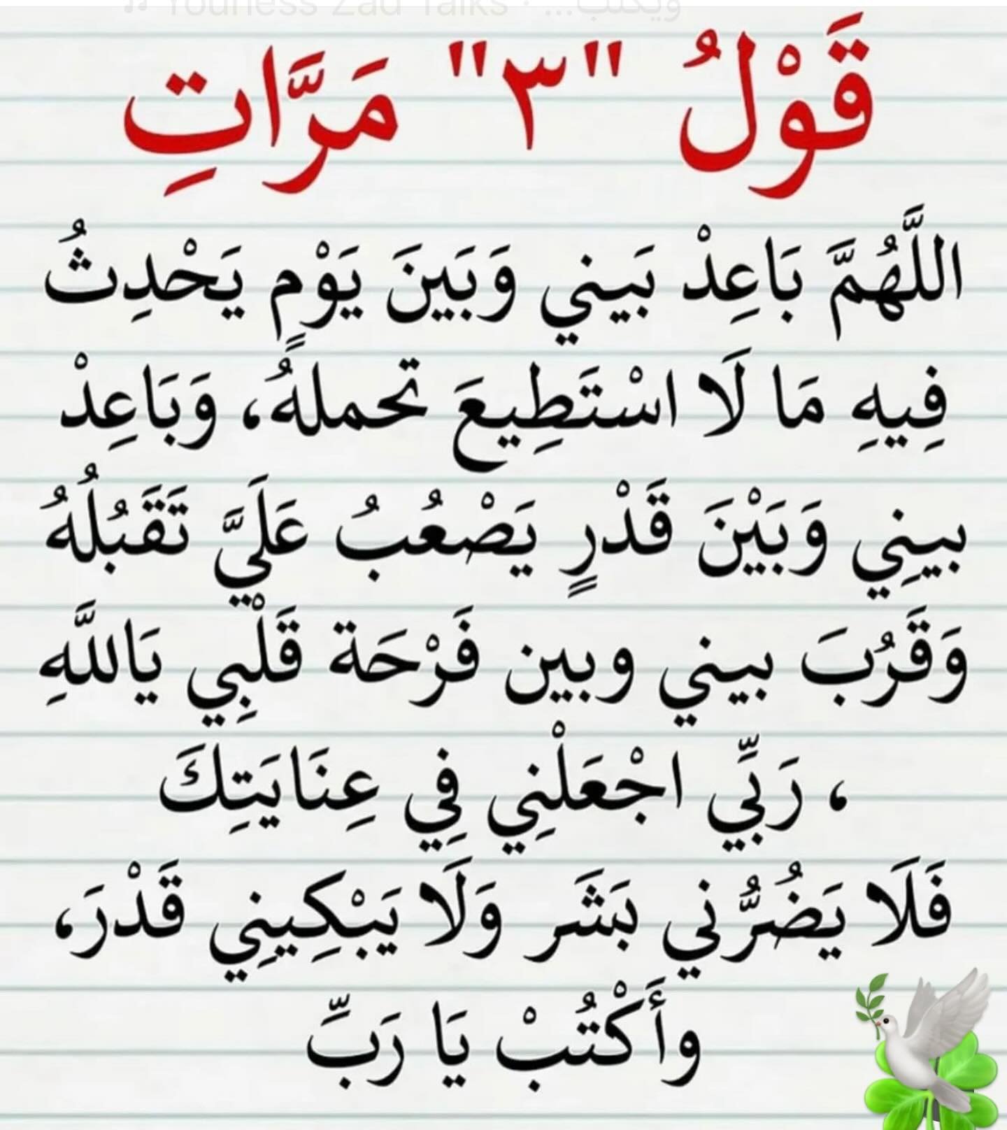 صورة