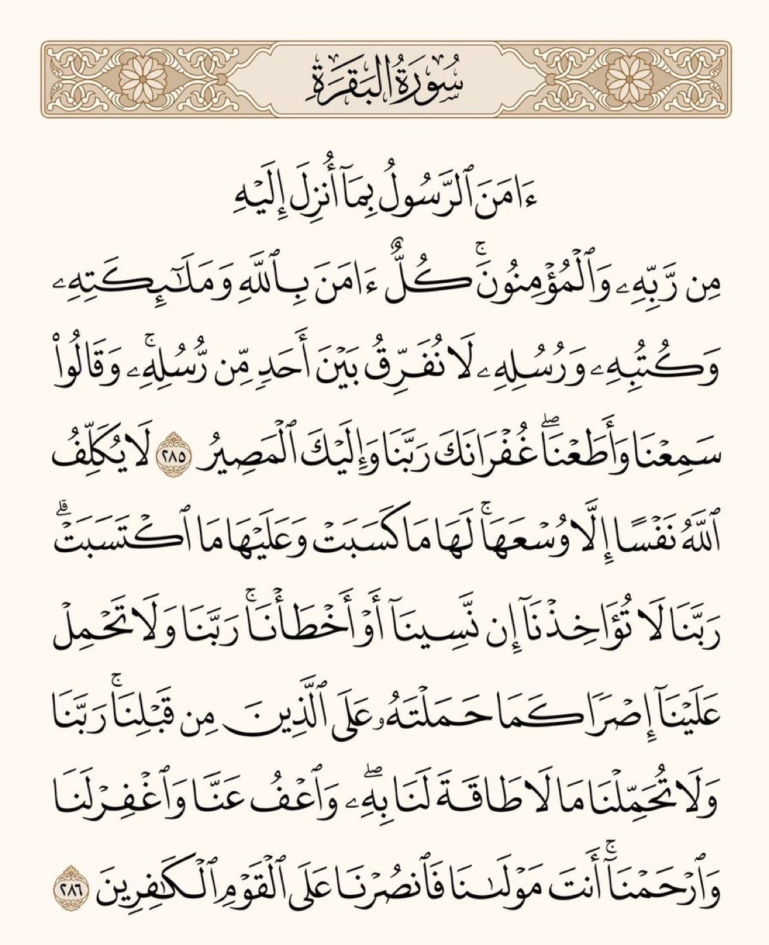 صورة